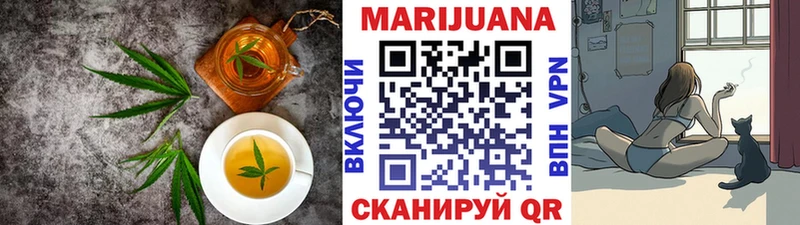 где купить наркоту  Камышлов  Cannafood марихуана 