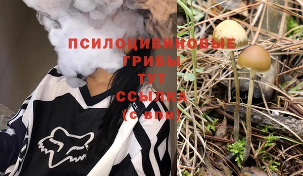 ALPHA-PVP Остров